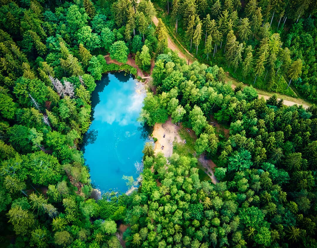 ecochar